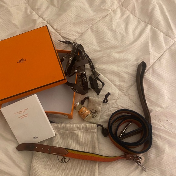 Hermes — dog collar & dog leash SET 🐶 🍊 - Picture 8 of 13
